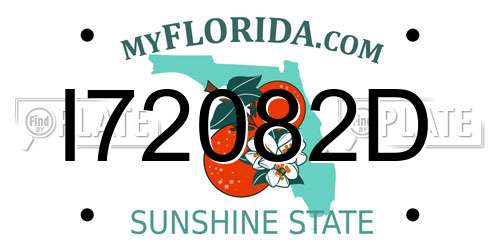 I72082D Florida License Plate