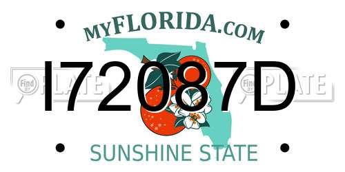 I72087D Florida License Plate