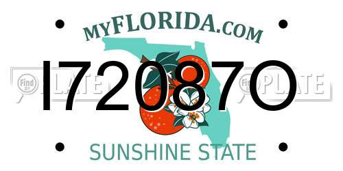 I72087O Florida License Plate