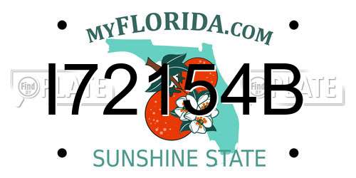 I72154B Florida License Plate