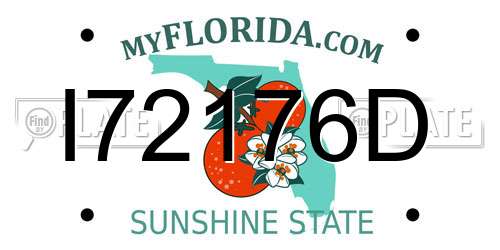 I72176D Florida License Plate