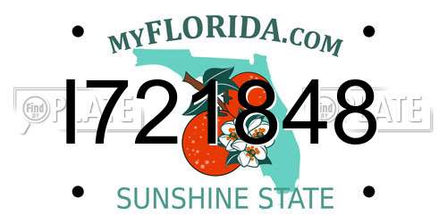I721848 Florida License Plate