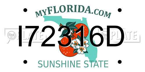 I72316D Florida License Plate