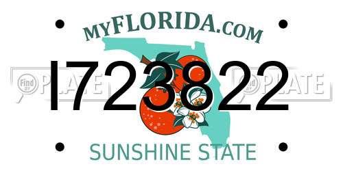 I723822 Florida License Plate