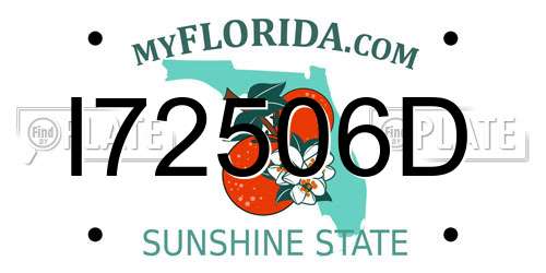 I72506D Florida License Plate