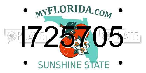 I725705 Florida License Plate