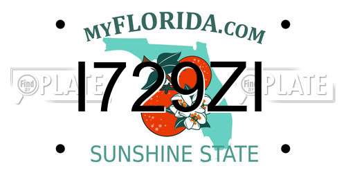 I729ZI Florida License Plate