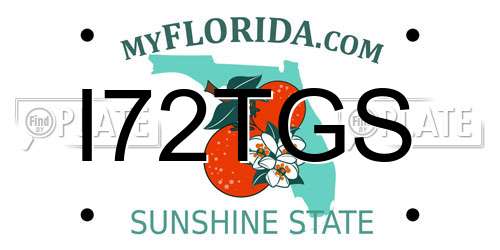 I72TGS Florida License Plate