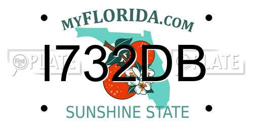 I732DB Florida License Plate