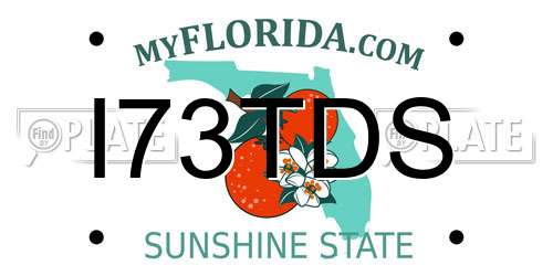 I73TDS Florida License Plate