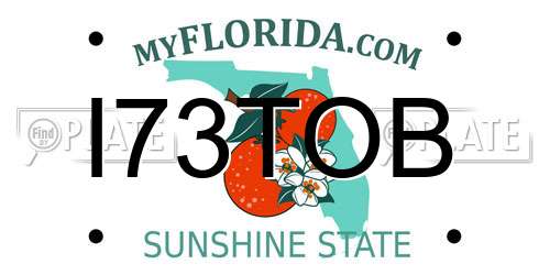 I73TOB Florida License Plate