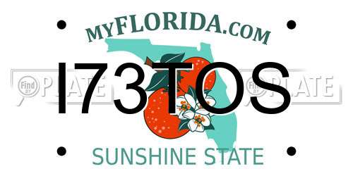 I73TOS Florida License Plate
