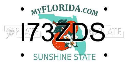 I73ZDS Florida License Plate