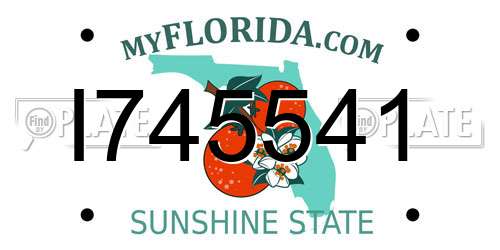 I745541 Florida License Plate