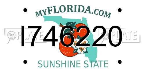 I746220 Florida License Plate