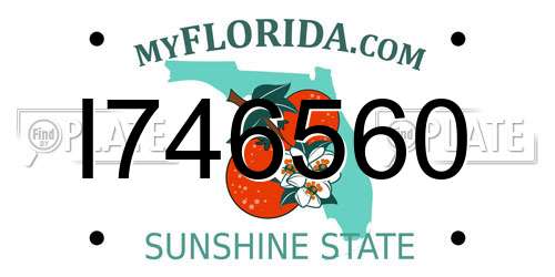 I746560 Florida License Plate