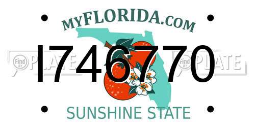 I746770 Florida License Plate