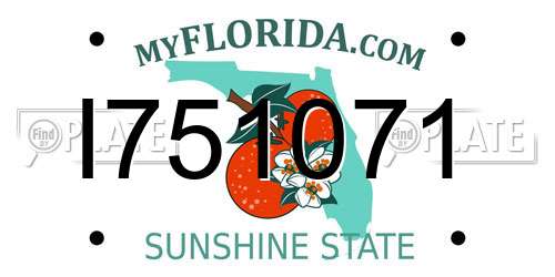 I751071 Florida License Plate