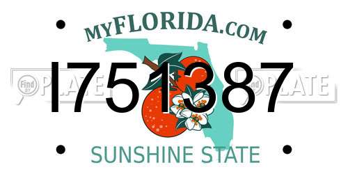 I751387 Florida License Plate