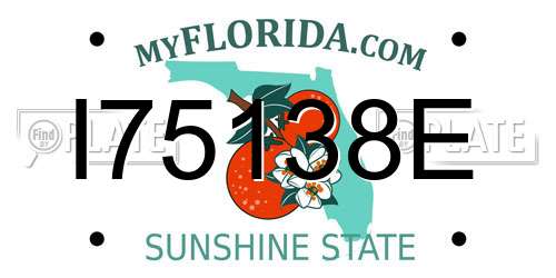 I75138E Florida License Plate