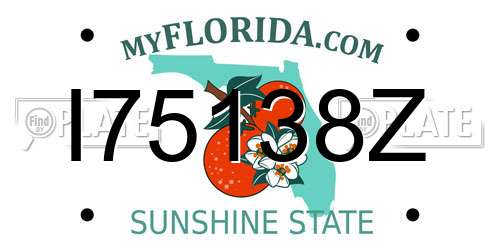 I75138Z Florida License Plate