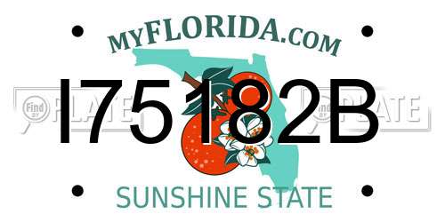 I75182B Florida License Plate