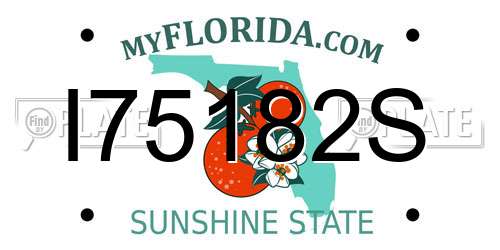 I75182S Florida License Plate