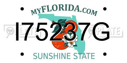 I75237G Florida License Plate
