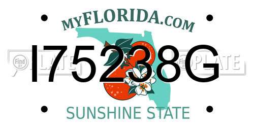 I75238G Florida License Plate