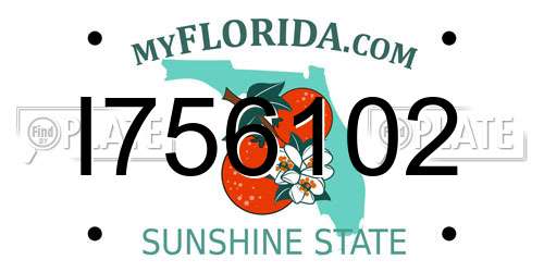 I756102 Florida License Plate