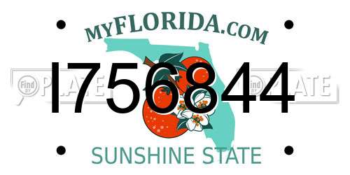 I756844 Florida License Plate
