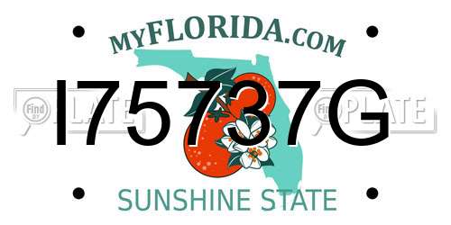 I75737G Florida License Plate
