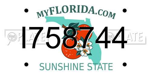 I758744 Florida License Plate