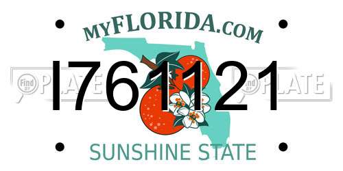 I761121 Florida License Plate
