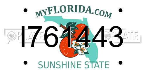 I761443 Florida License Plate