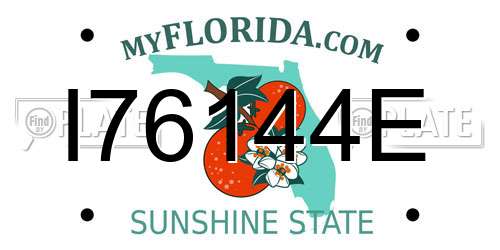 I76144E Florida License Plate