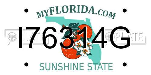 I76314G Florida License Plate