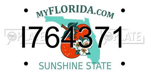 I764371 Florida License Plate