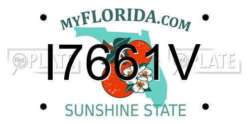 I7661V Florida License Plate