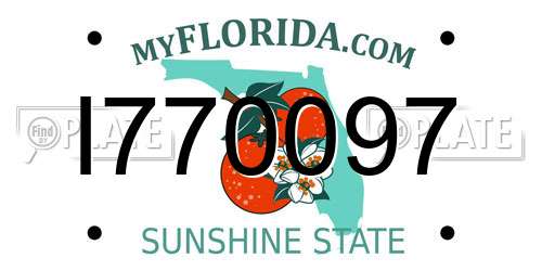 I770097 Florida License Plate