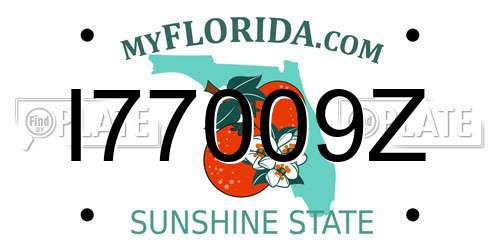 I77009Z Florida License Plate