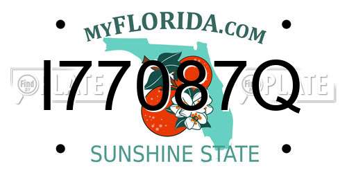 I77087Q Florida License Plate