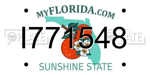 I771548 Florida License Plate