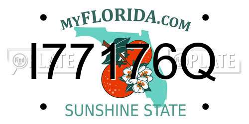 I77176Q Florida License Plate