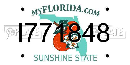 I771848 Florida License Plate