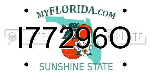 I77296O Florida License Plate