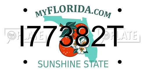 I77382T Florida License Plate