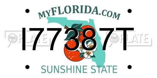 I77387T Florida License Plate