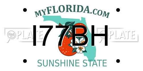I77BH Florida License Plate