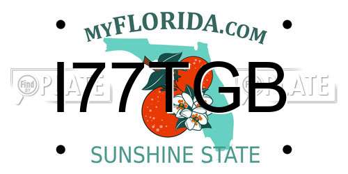 I77TGB Florida License Plate